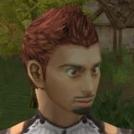 Zvei